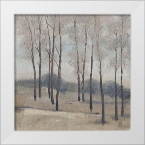 Soft Light II White Modern Wood Framed Art Print by OToole, Tim