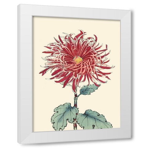 Chrysanthemum Woodblock I White Modern Wood Framed Art Print by Unknown
