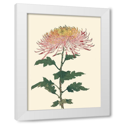 Chrysanthemum Woodblock II White Modern Wood Framed Art Print by Unknown