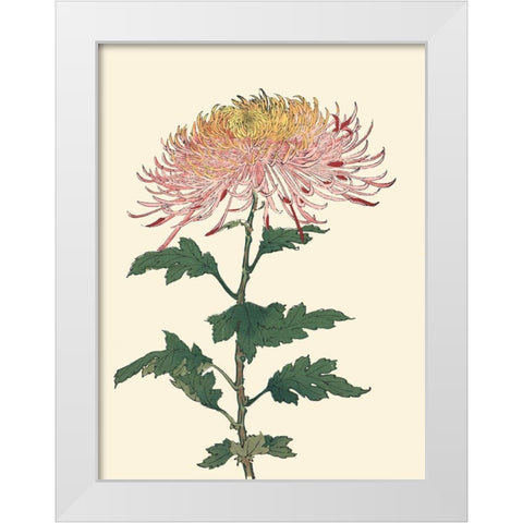 Chrysanthemum Woodblock II White Modern Wood Framed Art Print by Unknown