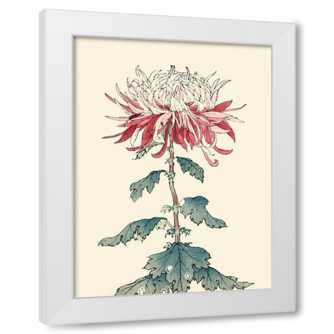 Chrysanthemum Woodblock III White Modern Wood Framed Art Print by Unknown