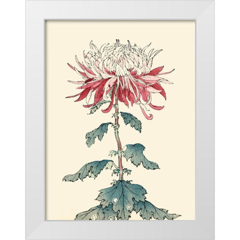 Chrysanthemum Woodblock III White Modern Wood Framed Art Print by Unknown