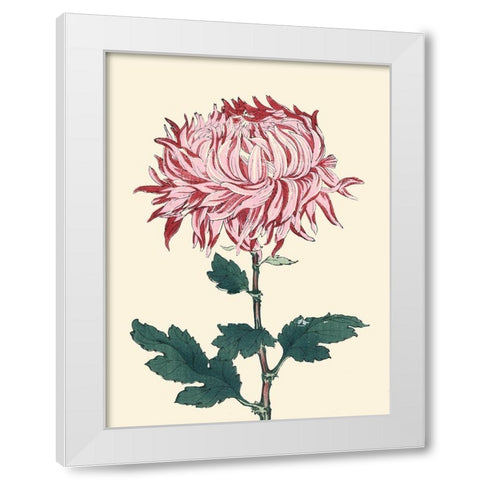 Chrysanthemum Woodblock IV White Modern Wood Framed Art Print by Unknown