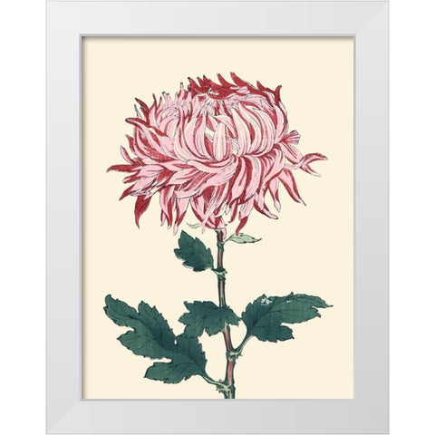 Chrysanthemum Woodblock IV White Modern Wood Framed Art Print by Unknown