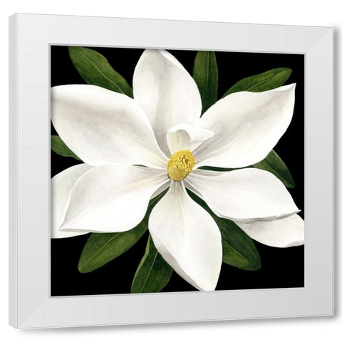 Midnight Magnolia I White Modern Wood Framed Art Print by Popp, Grace