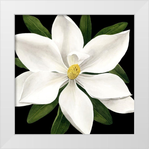 Midnight Magnolia I White Modern Wood Framed Art Print by Popp, Grace