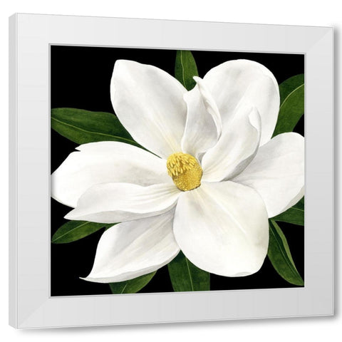 Midnight Magnolia II White Modern Wood Framed Art Print by Popp, Grace