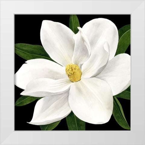 Midnight Magnolia II White Modern Wood Framed Art Print by Popp, Grace