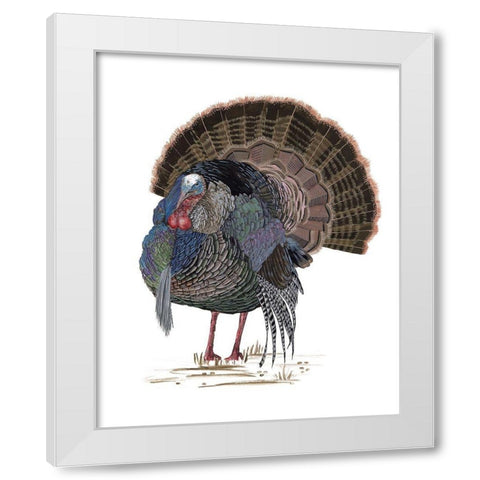 Turkey Study II White Modern Wood Framed Art Print by Wang, Melissa