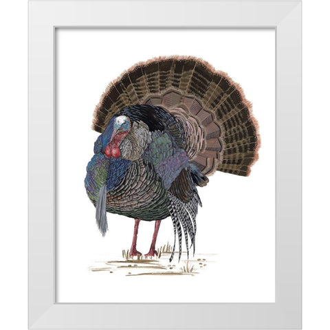 Turkey Study II White Modern Wood Framed Art Print by Wang, Melissa