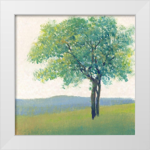 Solitary Tree II White Modern Wood Framed Art Print by OToole, Tim