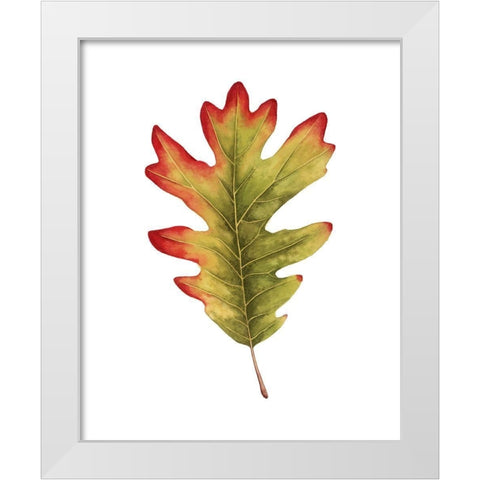 Fall Leaf Study II White Modern Wood Framed Art Print by Popp, Grace