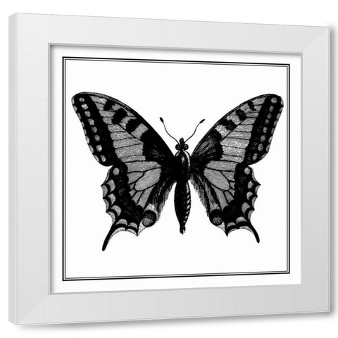 Custom Classical Butterfly I White Modern Wood Framed Art Print by Vision Studio