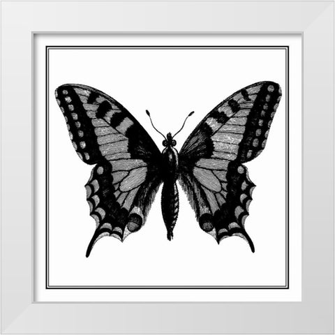 Custom Classical Butterfly I White Modern Wood Framed Art Print by Vision Studio