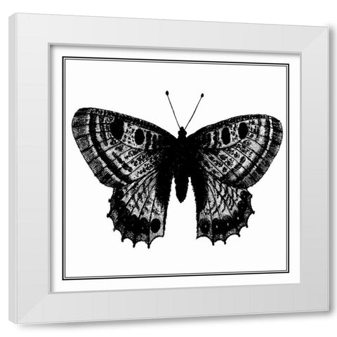 Custom Classical Butterfly II White Modern Wood Framed Art Print by Vision Studio