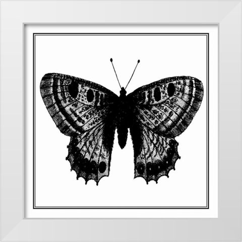 Custom Classical Butterfly II White Modern Wood Framed Art Print by Vision Studio