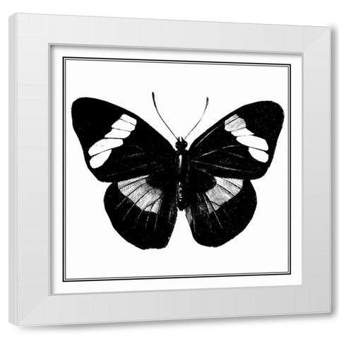 Custom Classical Butterfly III White Modern Wood Framed Art Print by Vision Studio