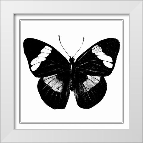 Custom Classical Butterfly III White Modern Wood Framed Art Print by Vision Studio