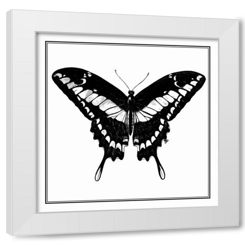 Custom Classical Butterfly IV White Modern Wood Framed Art Print by Vision Studio