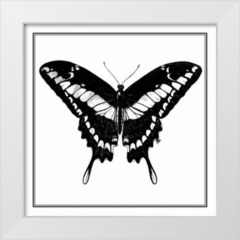 Custom Classical Butterfly IV White Modern Wood Framed Art Print by Vision Studio
