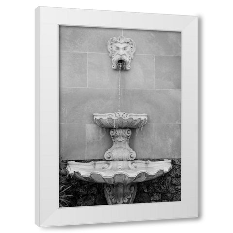 Black and White Fountains I White Modern Wood Framed Art Print by DeNardo, Laura