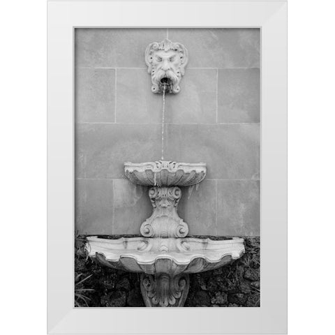 Black and White Fountains I White Modern Wood Framed Art Print by DeNardo, Laura