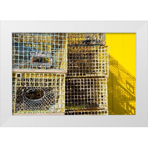 Coastal Trappings IV White Modern Wood Framed Art Print by DeNardo, Laura