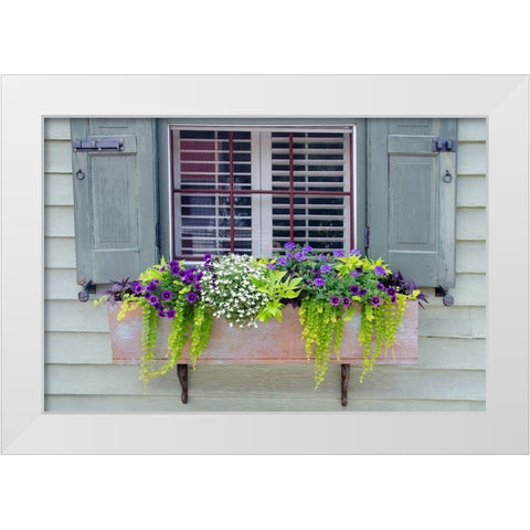 Pastel Windows IV White Modern Wood Framed Art Print by DeNardo, Laura