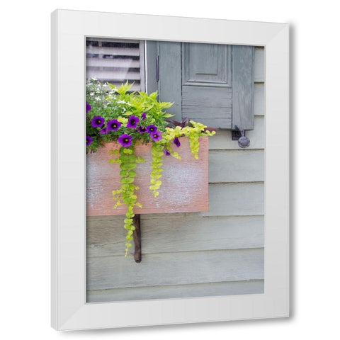 Pastel Windows V White Modern Wood Framed Art Print by DeNardo, Laura