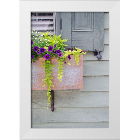 Pastel Windows V White Modern Wood Framed Art Print by DeNardo, Laura