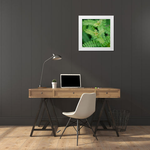 Cropped Garden Leaves II White Modern Wood Framed Art Print by DeNardo, Laura