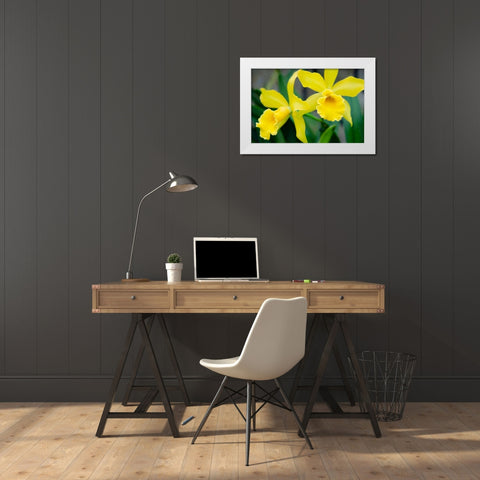 Garden Array III White Modern Wood Framed Art Print by DeNardo, Laura