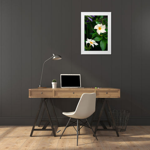 Garden Array V White Modern Wood Framed Art Print by DeNardo, Laura