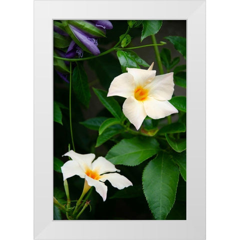 Garden Array V White Modern Wood Framed Art Print by DeNardo, Laura