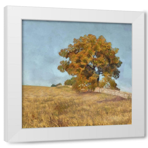 Autumns Tranquility I White Modern Wood Framed Art Print by Saunders, Alonzo