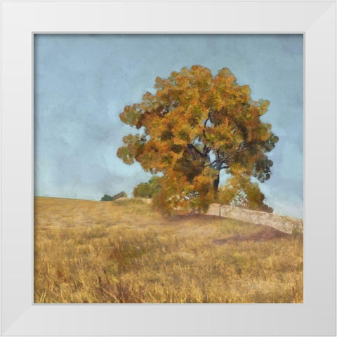 Autumns Tranquility I White Modern Wood Framed Art Print by Saunders, Alonzo