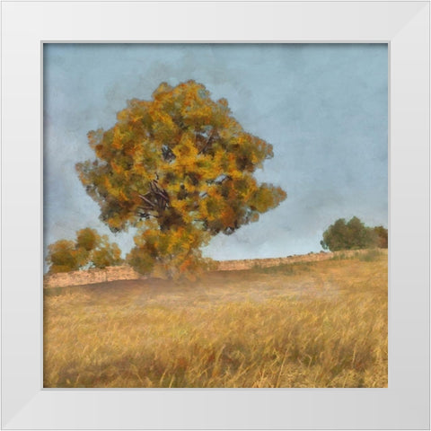 Autumns Tranquility II White Modern Wood Framed Art Print by Saunders, Alonzo