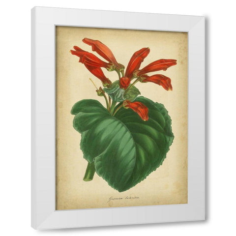 Vermillion Blooms I White Modern Wood Framed Art Print by Paxton
