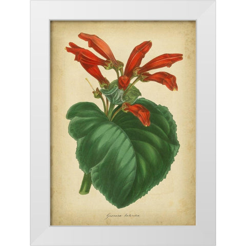 Vermillion Blooms I White Modern Wood Framed Art Print by Paxton