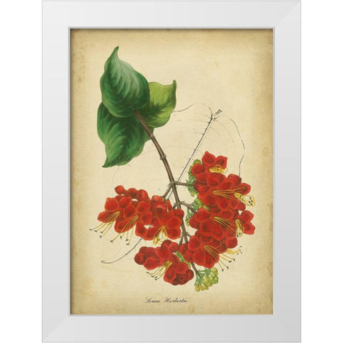 Vermillion Blooms II White Modern Wood Framed Art Print by Paxton