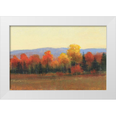 Changing Colors I White Modern Wood Framed Art Print by OToole, Tim
