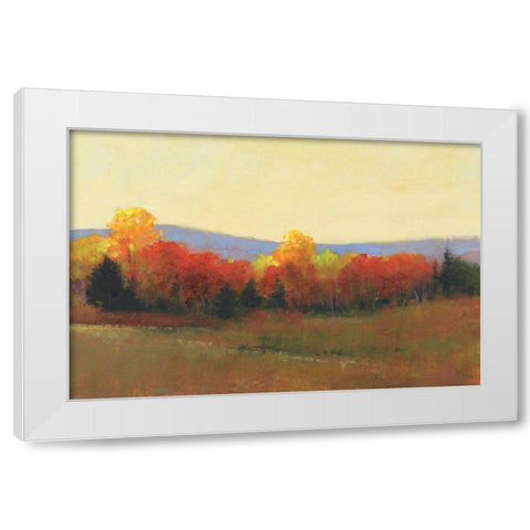 Changing Colors II White Modern Wood Framed Art Print by OToole, Tim