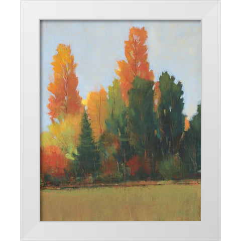 Fall Colors I White Modern Wood Framed Art Print by OToole, Tim