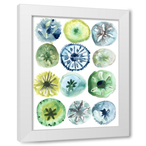 Sea Urchin Assortment II White Modern Wood Framed Art Print by Vess, June Erica