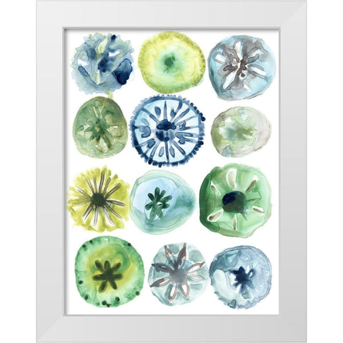 Sea Urchin Assortment II White Modern Wood Framed Art Print by Vess, June Erica
