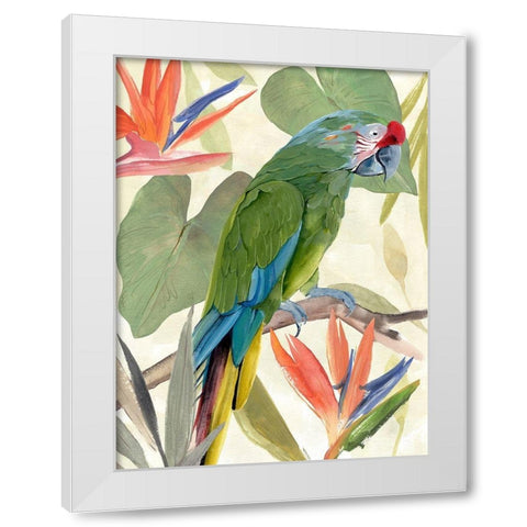 Tropical Parrot Composition I White Modern Wood Framed Art Print by Warren, Annie