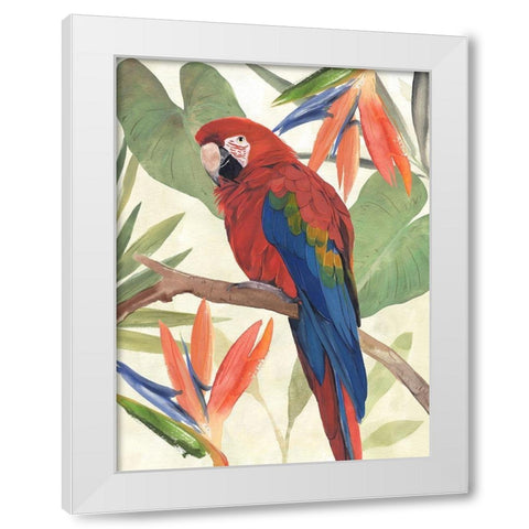 Tropical Parrot Composition II White Modern Wood Framed Art Print by Warren, Annie