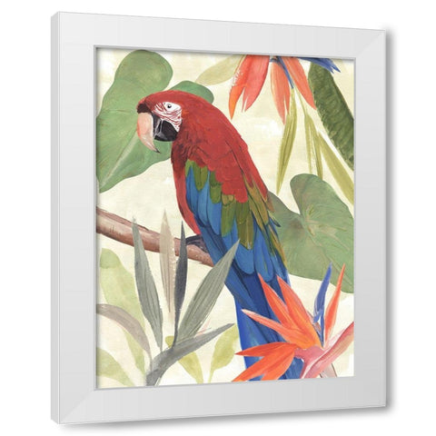 Tropical Parrot Composition III White Modern Wood Framed Art Print by Warren, Annie