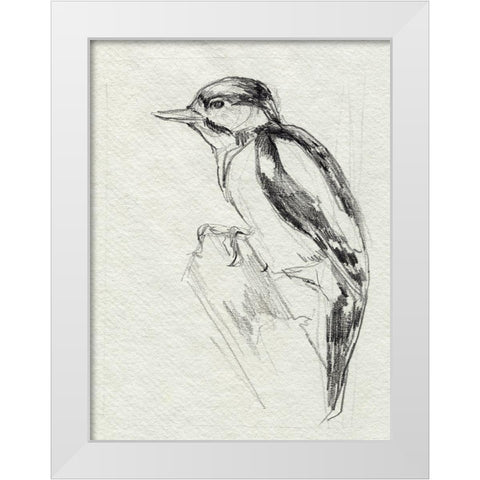 Woodpecker Sketch I White Modern Wood Framed Art Print by Parker, Jennifer Paxton