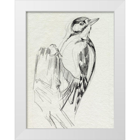 Woodpecker Sketch II White Modern Wood Framed Art Print by Parker, Jennifer Paxton